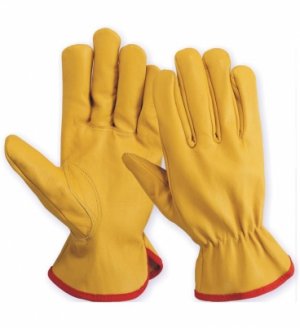 Driving Gloves