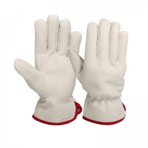 Driving Gloves